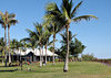 palm tree rest