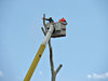 tree loppers