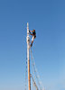 up the mast