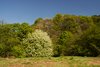 Brock Valley