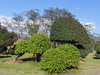botanical gardens