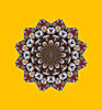 pie star mandala