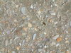 Broken Shells