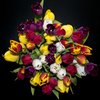 Colourful tulips