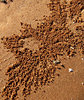 sand marbles