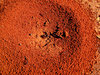 red entrance -  bull ants nest