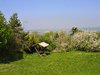 peaceful spring idyll
