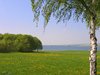 spring idyll