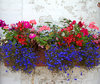 flower box