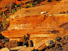 layered rocks