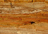 layered rocks