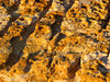 layered rocks