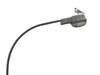 Little Gull on a lamp