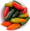 cool chilli colors