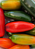 cool chilli colors