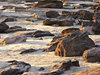 rocky shore