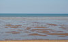 low tide waders