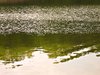 ripples on the water