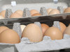 more eggs