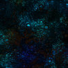 Iridescence