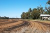 rural