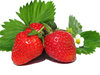 sweet strawberries