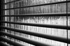 Blinds