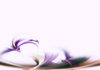Abstract Feather dance Backgro
