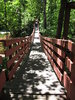 Swinging Bridge