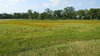 Texas Prairie