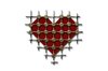 Heart behind bars