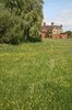 Home by the buttercups