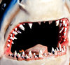 a mouthful 2