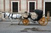 Horse and carriage