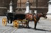 Horse and carriage 2