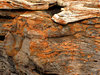layered rocks