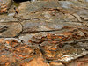 layered rocks