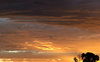 southern sunset gold