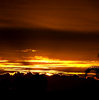 southern sunset gold