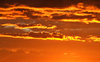 southern sunset gold