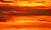southern sunset gold