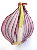 red onion