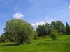 tranquil summer landscape