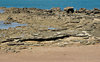 rocky shore