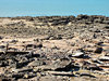 rocky shore