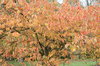 Fall2010