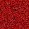 Red Blood Cells 2