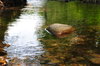 Creek