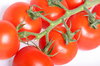 Vine Tomatoes