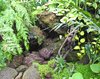 balinese tropical scenery 2